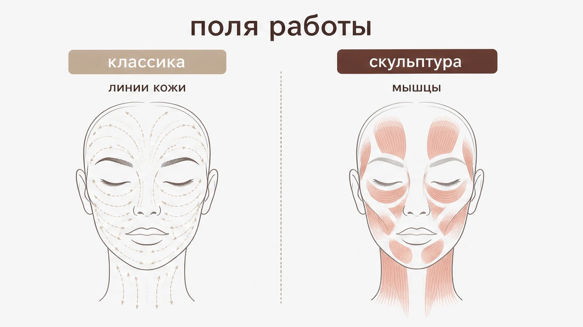 Сравнение двух протоколов массажа лица: классика по линиям и скульптура по мышцам снаружи